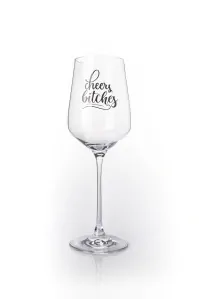 Pohár na víno CHEERS BITCHES 450 ml (čierna potlač) 