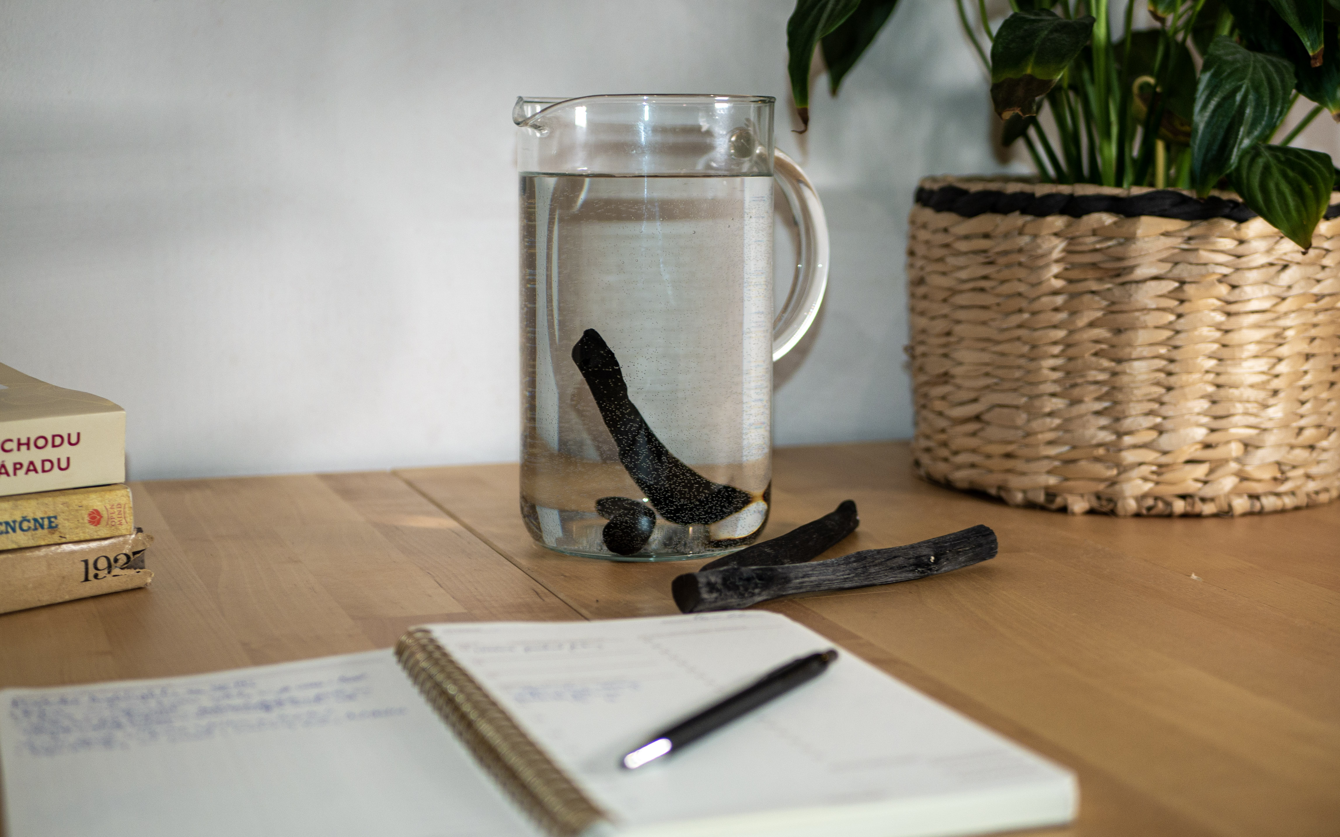 Aktívne uhlie Binchio Start